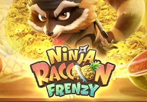 Ninja Racoon Frenzy